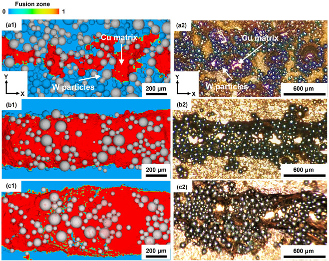 Fusion zone — simulation vs experimental cross-sections, W particles in Cu matrix