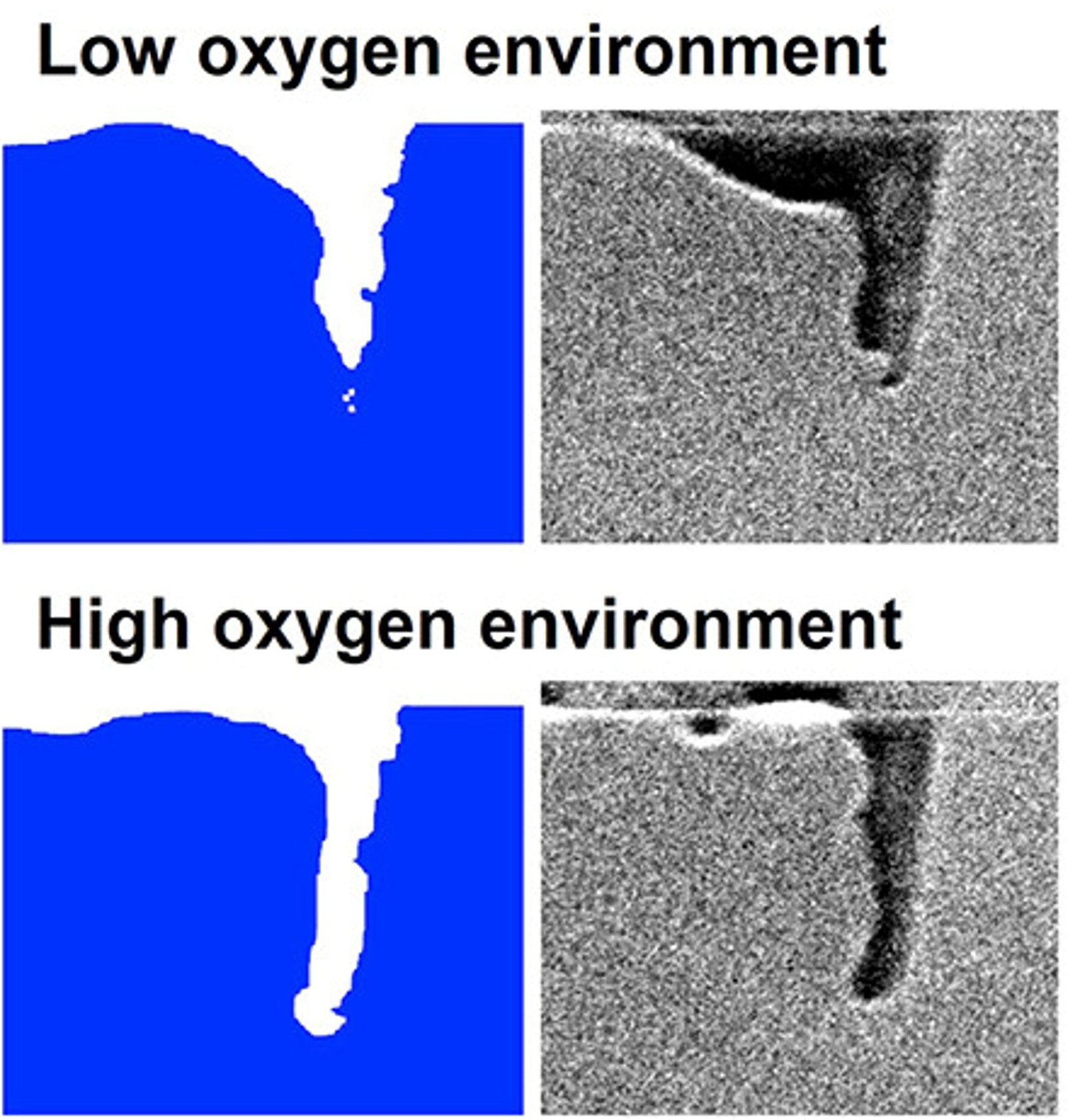 Simulation vs. experiment — keyhole morphology under low and high oxygen